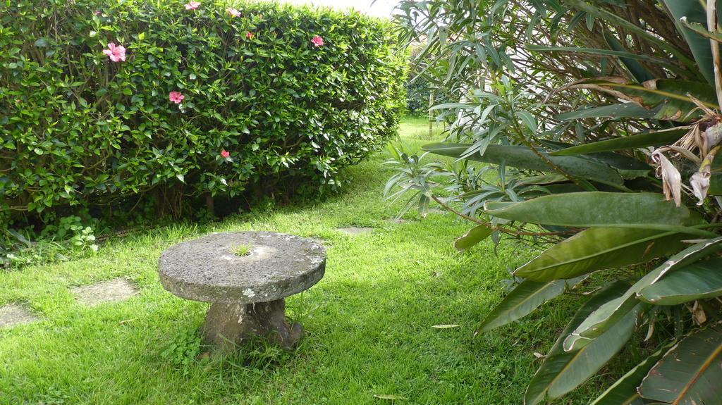 Azores Garden House - Private Suites & Apartments - Automatic Self Check-In Понта Делгада Екстериор снимка