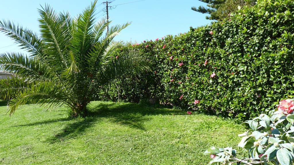 Azores Garden House - Private Suites & Apartments - Automatic Self Check-In Понта Делгада Екстериор снимка