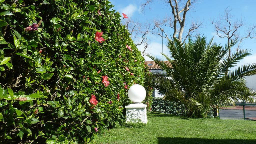 Azores Garden House - Private Suites & Apartments - Automatic Self Check-In Понта Делгада Екстериор снимка